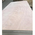 Hot sell poplar or pine plywood from Linyi supplier in china